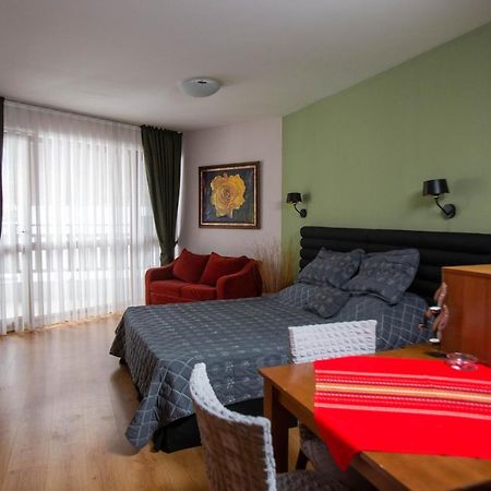 Pirin Place バンスコ エクステリア 写真