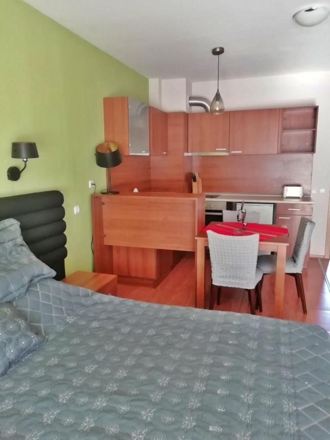 Pirin Place バンスコ エクステリア 写真
