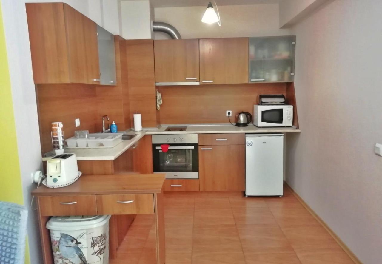 Pirin Place バンスコ エクステリア 写真