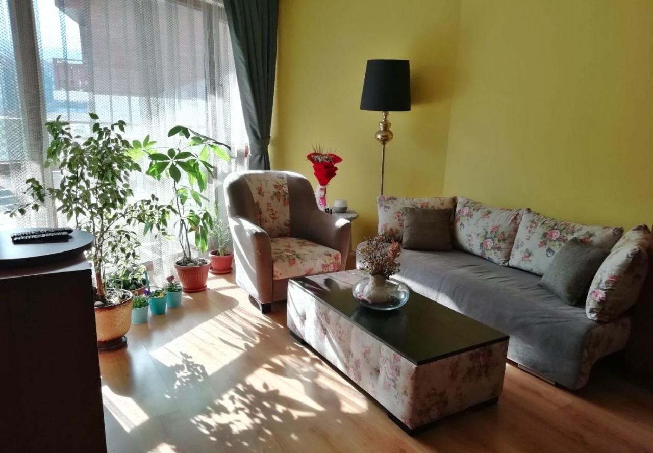 Pirin Place バンスコ エクステリア 写真